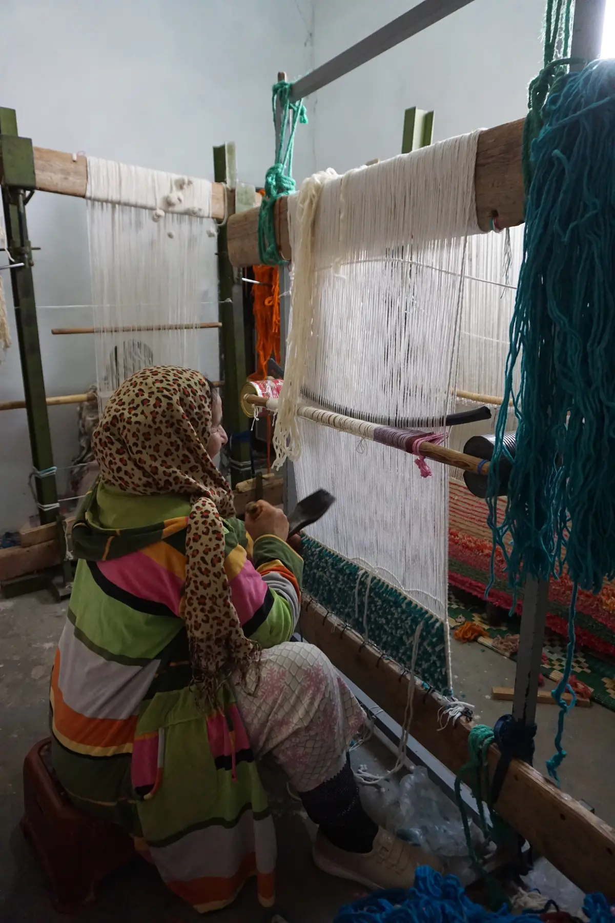 Moroccan rug cooperative