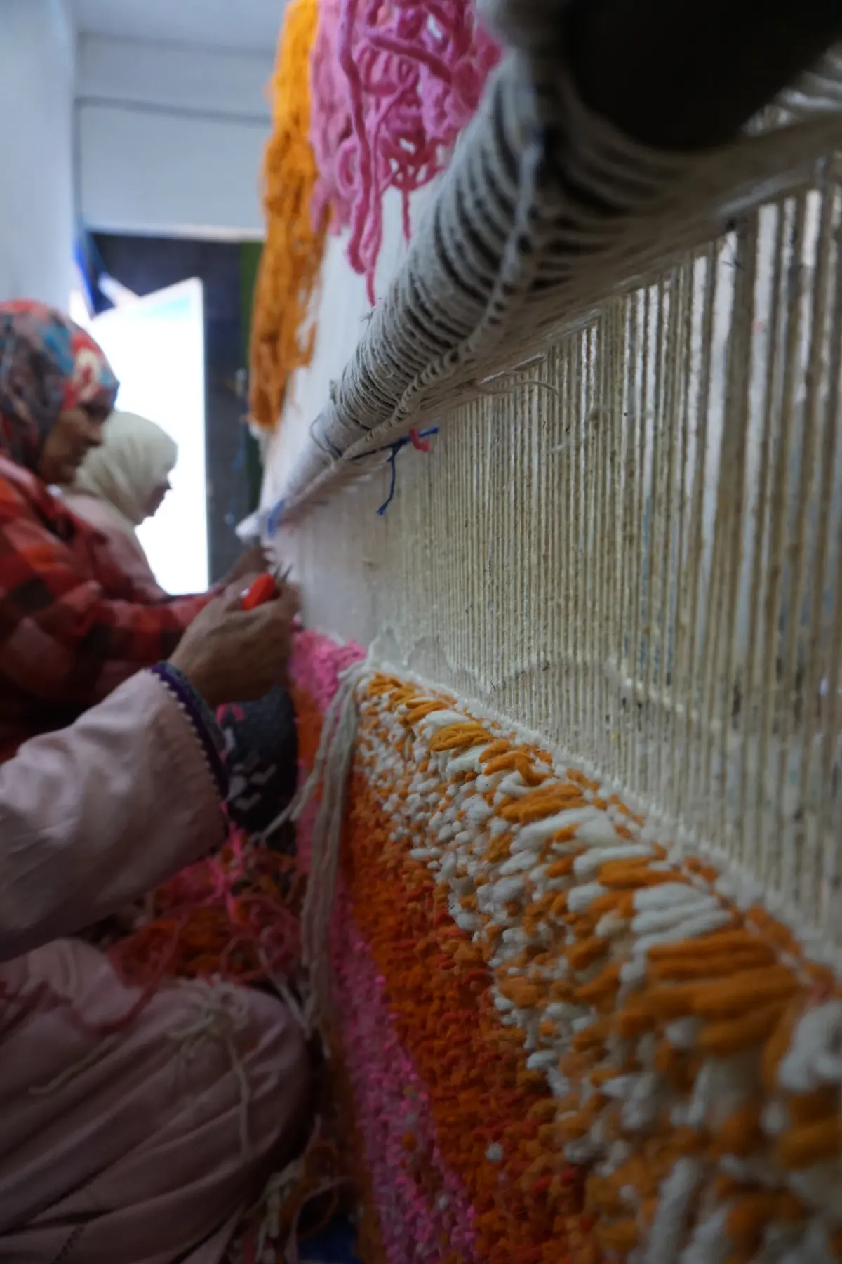 Atlas Mountains cooperative